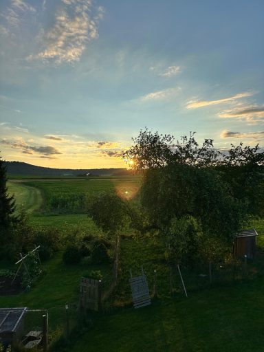 Urlaub in der Natur, Erholung, Ferienwohnung Furth im Wald